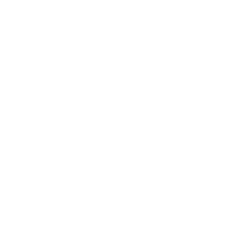 Beavers